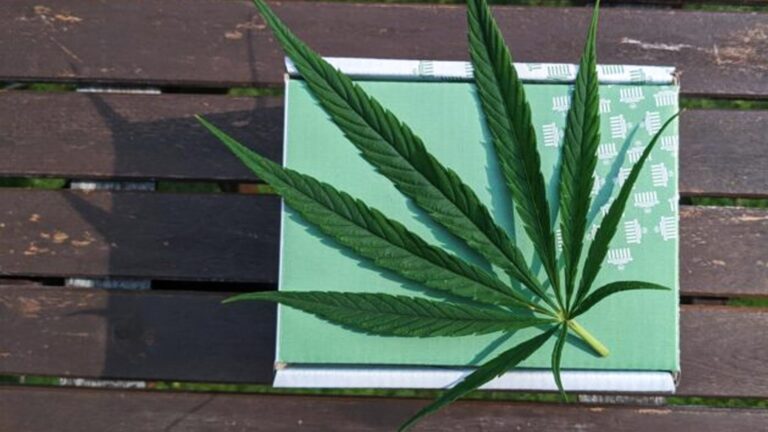 cannabidiol-molecule-cbd