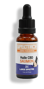 huile-cbd-optimisé 1.png